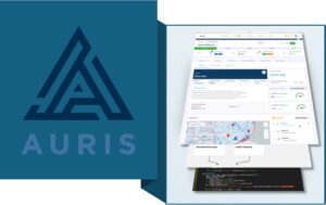 Auris, la IA hecha realidad