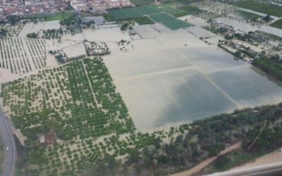 Protocolos de actuación ante los daños en el campo provocados por la DANA