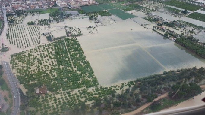 Protocolos de actuación ante los daños en el campo provocados por la DANA